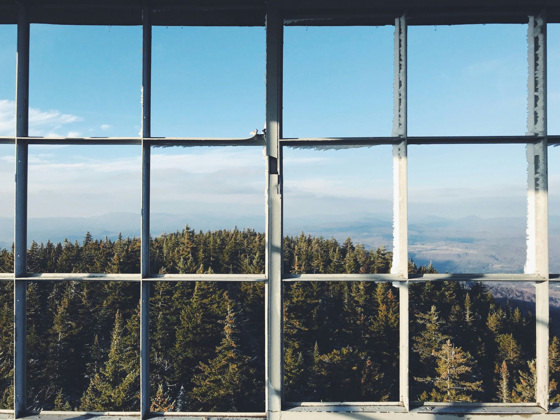 a view of a forest through a window